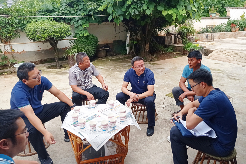 1624363867112958.jpg mmexport1624285501357.jpg