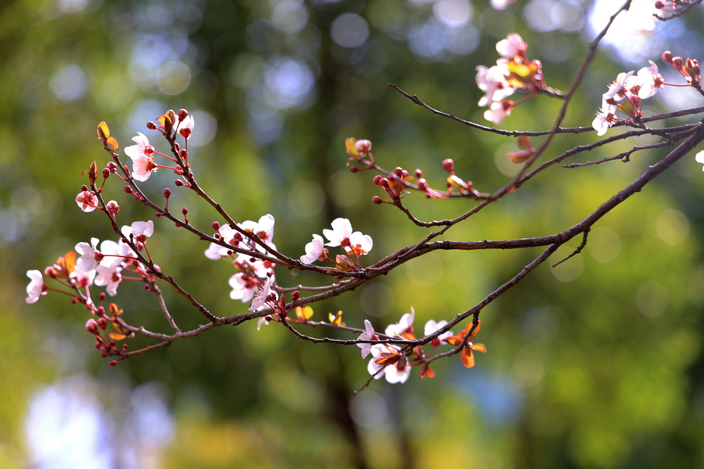 1651070870953196.jpg 8X8A3413.jpg