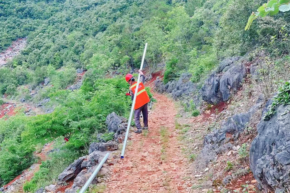 1661409031249412.jpg 103.jpg